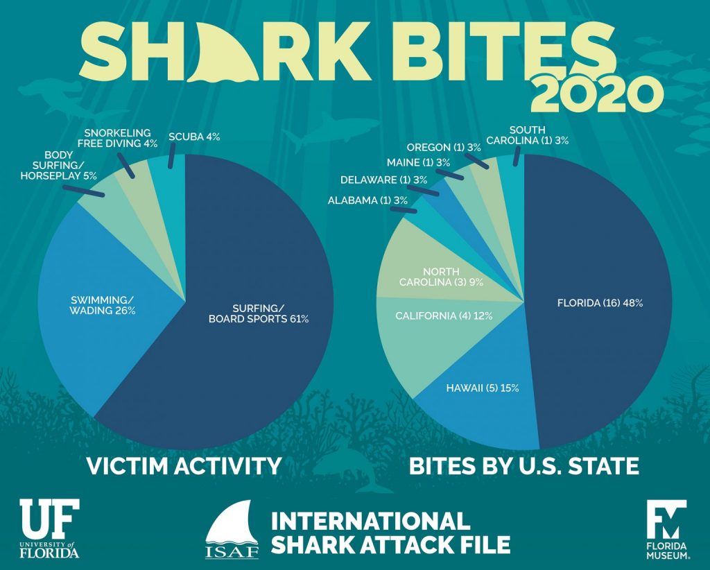 sharks statistic
